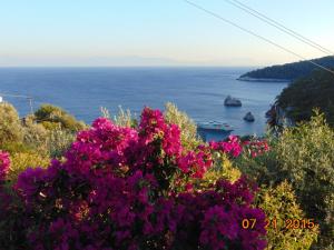 Pigi Cottage Skopelos Greece