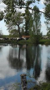 Fermes Charmante maison a la ferme : photos des chambres