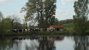 Sejours a la ferme Charmante maison a la ferme : photos des chambres