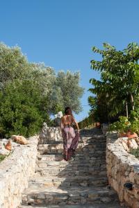 Alonissos Poikilma Villas exclusive luxury villas with private pools in nature Alonissos Greece