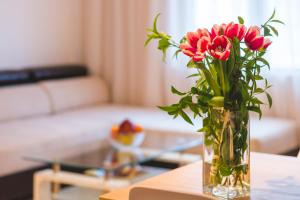 Ibar Apartment & Garage