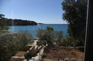 Buric House - Apartment Vintage