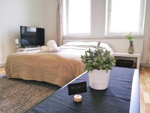 Uman City Studio-Flemingsgatan