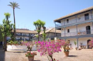 Luxury Apartment Plus Ultra