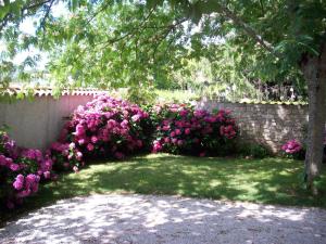 B&B / Chambres d'hotes Le Petit Massigny : photos des chambres