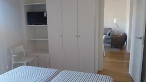 Larramendi Terrace Apartment