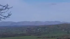 李子树之家住宿加早餐旅馆 - 利文斯