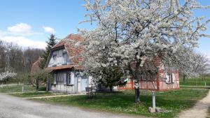 Hotels Les Loges de l'Ecomusee D'Alsace : Chambre Quadruple en Duplex