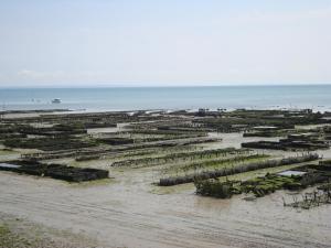 Appartements Petit coin de Paradis : photos des chambres