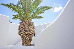 Nicos Studios & Apartments Paros Greece