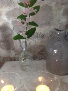 B&B / Chambres d'hotes Domaine Charente Glamping Familyroom Le Jardin with external toilet & shower house & outdoor kitchen : photos des chambres