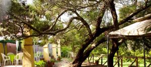 Agriturismo Menhir img10