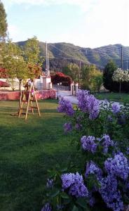 Kavala Villa 360 degrees green