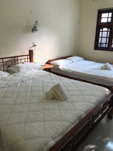 Anh Trang Guesthouse