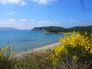 Lemon Tree Cottage Messinia Greece