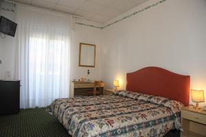 Double or Twin Room room in Hotel Villa Rosa