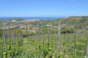 La Locanda di Campagna