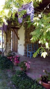 Agriturismo La Chiocciola