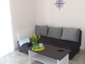 Apartment room in ApartHotel Admirał