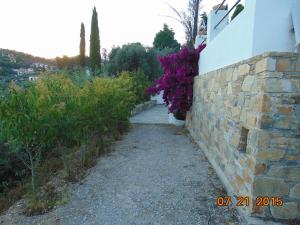 Pigi Cottage Skopelos Greece