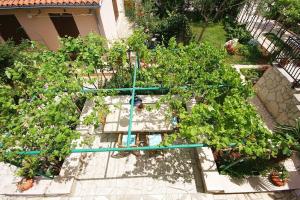 Apartment Pifar