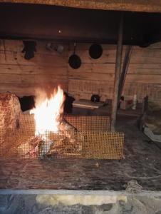 Lomakoti Tuulensuoja