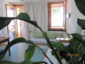 Centro Vacanze Cugnana Verde img31