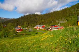 obrázek - Grønolen Fjellgard