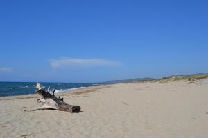 Apartments Mimose img21