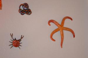 Apartments Mimose img33