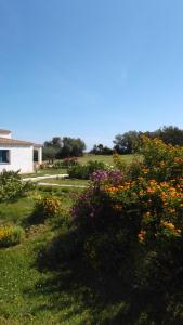 Hotel Baia Cea img28