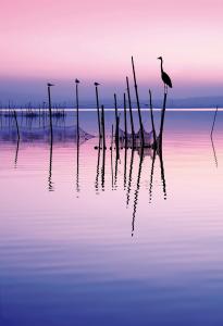 Campings Domaine Les Abberts : photos des chambres