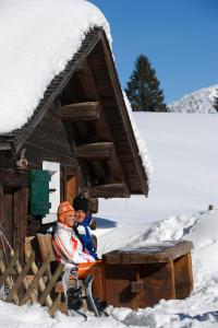 Alm – Chalet Domig