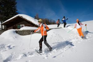 Alm – Chalet Domig