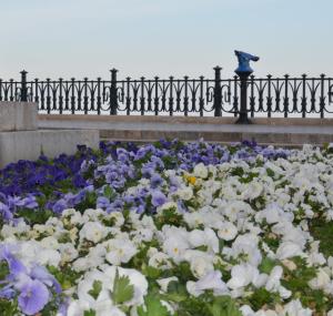 ApartSuits Tarragona Rambla Nova 24