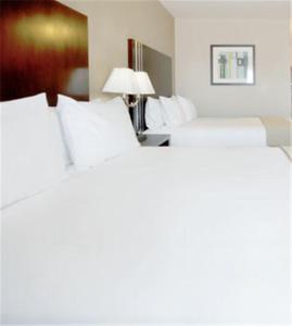 Holiday Inn Express Hotel & Suites Houston NW Beltway 8-West Road, an IHG Hotel - image 2