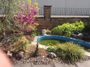 Ferienwohnung Vogesenblick