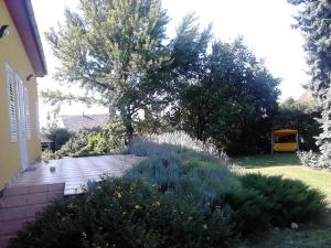 Ferienhaus Park Vendégház Igal Ungarn