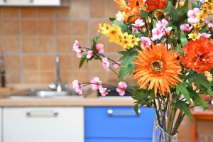 Casa Rosada Alghero img8