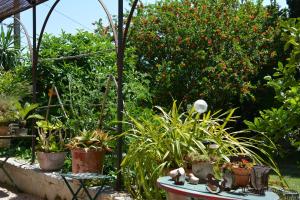 B&B / Chambres d'hotes Les Passiflores : photos des chambres