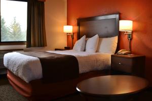 Executive Queen Room - Non-Smoking room in AmericInn by Wyndham Calumet