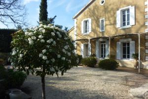 B&B / Chambres d'hotes Le Fer en Ceze : photos des chambres