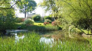 Maisons de vacances Au Jardin d'Eau : photos des chambres