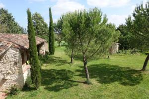 B&B / Chambres d'hotes Brin de Cocagne : photos des chambres