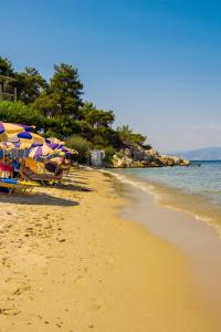 Hotel Villa Nisteri Thassos Greece