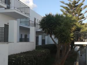 Ostria Hotel & Apartments Andros Greece