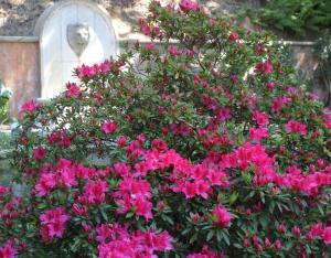 Hotels Hotel Chantaco Golf & Wellness : photos des chambres