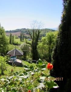 Appartements Les Gites de La Maison Bleue d'Estialescq : photos des chambres