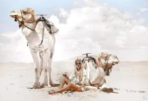 阿里与萨拉的沙漠宫殿豪华帐篷 - 梅尔祖卡