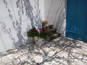 Apartment Luna 
